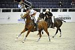 WIHS2-10-27-10-MilitaryPolo-2180-DDeRosaPhoto.jpg