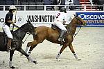 WIHS2-10-27-10-MilitaryPolo-2183-DDeRosaPhoto.jpg