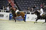 WIHS2-10-27-10-MilitaryPolo-2207-DDeRosaPhoto.jpg