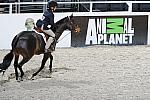 Animal_Planet-WIHS3-10-31-10-Cl113-MedPnyHtr-9473-HighlandsHeavenSent-ParkerWright-Barrel-DDeRosaPhoto.jpg