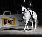 Nikon-WIHS2-10-29-10-6537-PamGoodrich-Lamborghini-DDeRosaPhoto.jpg