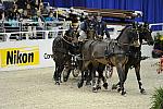 Nikon-WIHS2-10-29-10-6588-ChesterWeber-DDeRosaPhoto.jpg