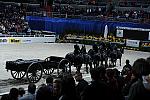 Nikon-WIHS2-10-30-10-8585-DDeRosaPhoto.jpg