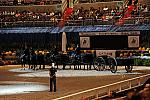 Qatar-WIHS2-10-30-10-8542-DDeRosaPhoto.jpg