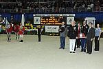 Qatar-WIHS3-10-29-10-Puissance-DSC_0125-DDeRosaPhoto.jpg