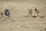 3-WIHS-10-29-05-Terriers-DDPhoto.JPG