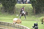 WEG1-Eventing-8-30-14-0009600-KarinDonckers-FletchaVan'tVerahof-BEL-DDeRosaPhoto