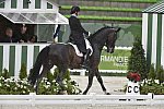 WEG-Dressage-8-25-14-GPTeam-0005951-AdrienneLyle-Wizard-USA-DDeRosaPhoto