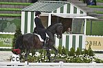 WEG-Dressage-8-25-14-GPTeam-0005952-AdrienneLyle-Wizard-USA-DDeRosaPhoto