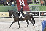 WEG-Dressage-8-25-14-GPTeam-0005960-AdrienneLyle-Wizard-USA-DDeRosaPhoto