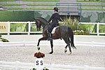WEG-Dressage-8-25-14-GPTeam-0005966-AdrienneLyle-Wizard-USA-DDeRosaPhoto