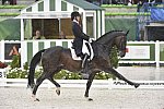 WEG-Dressage-8-25-14-GPTeam-0005974-AdrienneLyle-Wizard-USA-DDeRosaPhoto