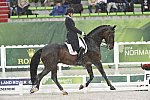 WEG-Dressage-8-25-14-GPTeam-0005979-AdrienneLyle-Wizard-USA-DDeRosaPhoto