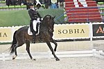 WEG-Dressage-8-25-14-GPTeam-0005980-AdrienneLyle-Wizard-USA-DDeRosaPhoto