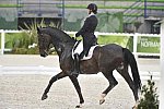 WEG-Dressage-8-25-14-GPTeam-0005991-AdrienneLyle-Wizard-USA-DDeRosaPhoto