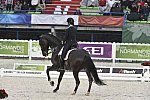WEG-Dressage-8-25-14-GPTeam-0006058-AdrienneLyle-Wizard-USA-DDeRosaPhoto