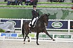 WEG-Dressage-8-25-14-GPTeam-0006062-AdrienneLyle-Wizard-USA-DDeRosaPhoto