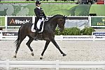 WEG-Dressage-8-25-14-GPTeam-0006068-AdrienneLyle-Wizard-USA-DDeRosaPhoto