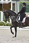 WEG-Dressage-8-25-14-GPTeam-0006077-AdrienneLyle-Wizard-USA-DDeRosaPhoto