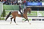 WEG1-Dressage-8-26-14-GPTeam-0007672-LauraGraves-Verdades-USA-DDeRosaPhoto