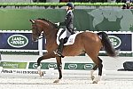 WEG1-Dressage-8-26-14-GPTeam-0007686-LauraGraves-Verdades-USA-DDeRosaPhoto