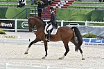 WEG1-Dressage-8-26-14-GPTeam-0007733-LauraGraves-Verdades-USA-DDeRosaPhoto