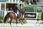 WEG1-Dressage-8-26-14-GPTeam-0007735-LauraGraves-Verdades-USA-DDeRosaPhoto