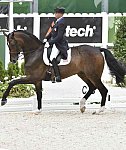 WEG1-Dressage-8-26-14-GPTeam-0009226-SteffenPeters-Legolas92-USA-DDeRosaPhoto-Vert