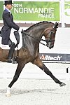 WEG1-Dressage-8-26-14-GPTeam-0009234-SteffenPeters-Legolas92-USA-DDeRosaPhoto-8x12