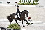 WEG-Dressage-8-25-14-GPTeam-0003870-TinaKonyot-CalectoV-USA-DDeRosaPhoto