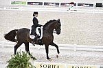 WEG-Dressage-8-25-14-GPTeam-0003871-TinaKonyot-CalectoV-USA-DDeRosaPhoto