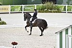 WEG-Dressage-8-25-14-GPTeam-0003876-TinaKonyot-CalectoV-USA-DDeRosaPhoto