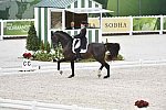 WEG-Dressage-8-25-14-GPTeam-0003877-TinaKonyot-CalectoV-USA-DDeRosaPhoto