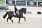 WEG-Dressage-8-25-14-GPTeam-0003883-TinaKonyot-CalectoV-USA-DDeRosaPhoto