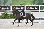 WEG-Dressage-8-25-14-GPTeam-0003937-TinaKonyot-CalectoV-USA-DDeRosaPhoto