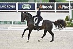 WEG-Dressage-8-25-14-GPTeam-0003941-TinaKonyot-CalectoV-USA-DDeRosaPhoto