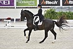 WEG-Dressage-8-25-14-GPTeam-0003968-TinaKonyot-CalectoV-USA-DDeRosaPhoto