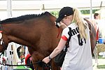 WEG2-Endurance-8-28-14-6532-DDeRosaPhoto