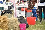 WEG2-Endurance-8-28-14-6578-DDeRosaPhoto