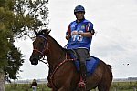 WEG-EnduranceRace-8-28-14-0002228-DDeRosaPhoto