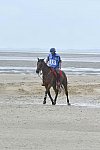 WEG-EnduranceRace-8-28-14-0003839-DDeRosaPhoto