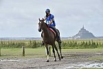 WEG-EnduranceRace-8-28-14-0001709-DDeRosaPhoto