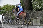 WEG-EnduranceRace-8-28-14-0001764-DDeRosaPhoto
