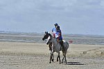 WEG-EnduranceRace-8-28-14-0003417-DDeRosaPhoto