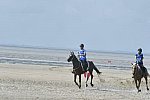 WEG-EnduranceRace-8-28-14-0003658-DDeRosaPhoto