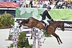 WEG-EventingSJ-8-31-14-0002920-WilliamFox-Pitt-ChilliMorning-GBR-DDeRosaPhoto