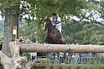 WEG1-Eventing-8-30-14-0008476-WilliamFox-Pitt-ChilliMorning-GBR-DDeRosaPhoto