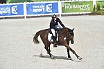 WEG-EventingSJ-8-31-14-0002885-SandraAuffarth-OpgunLouvo-GER-DDeRosaPhoto