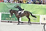 WEG-EventingSJ-8-31-14-0002850-MichaelJung-FischerrocanaFST-GER-DDeRosaPhoto