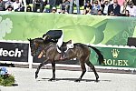 WEG-EventingSJ-8-31-14-0002853-MichaelJung-FischerrocanaFST-GER-DDeRosaPhoto